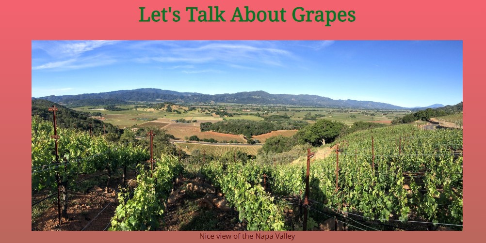 The homepage for a grape varietals blog