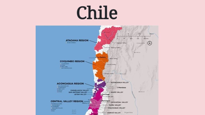 The homepage for a wine region blog